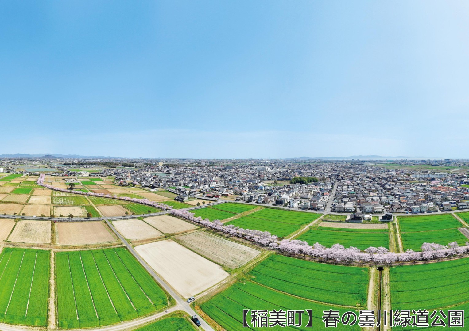 【稲美町】春の曇川緑道公園